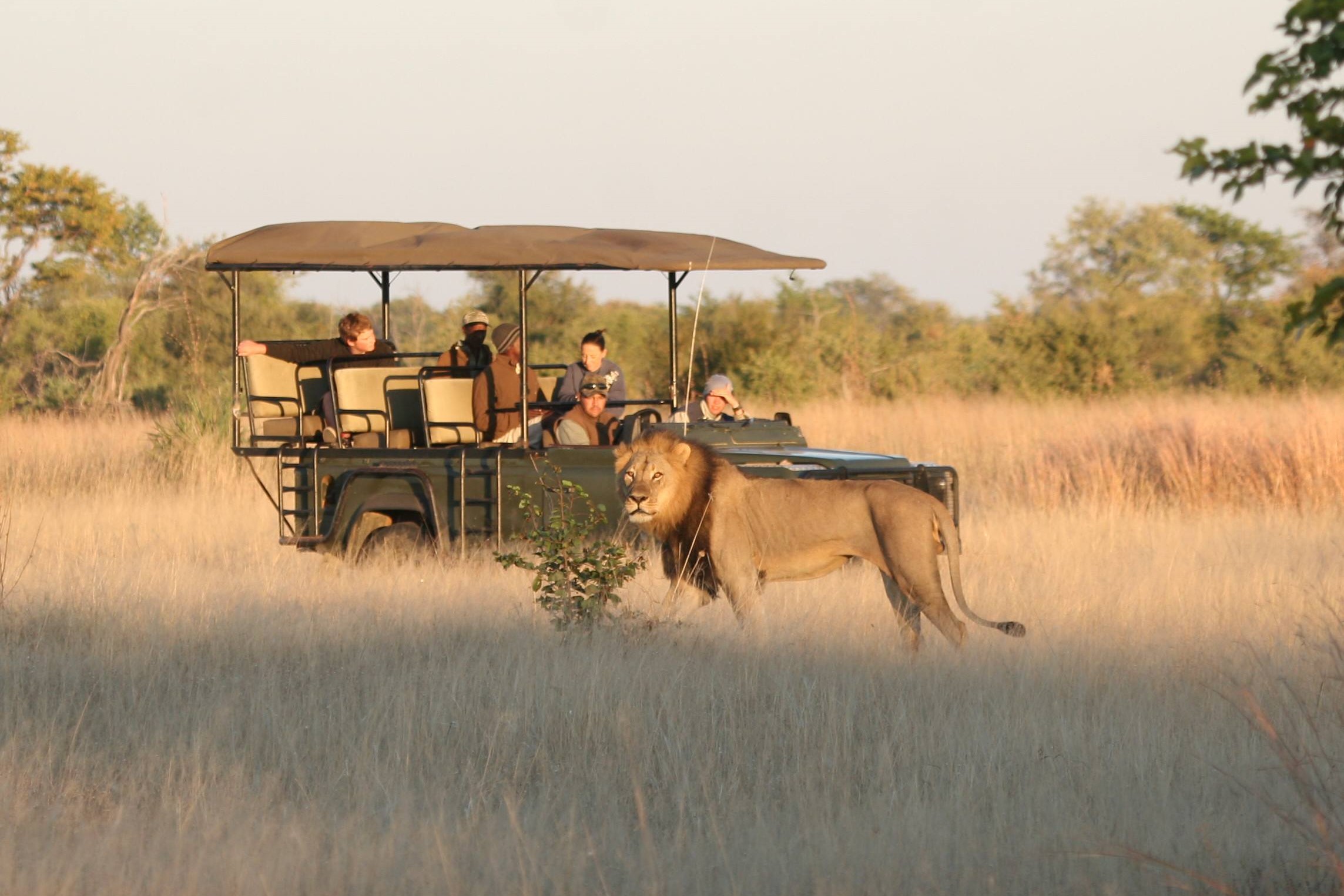 “A Family Adventure: Exploring Zimbabwe with Sky Hospitality”